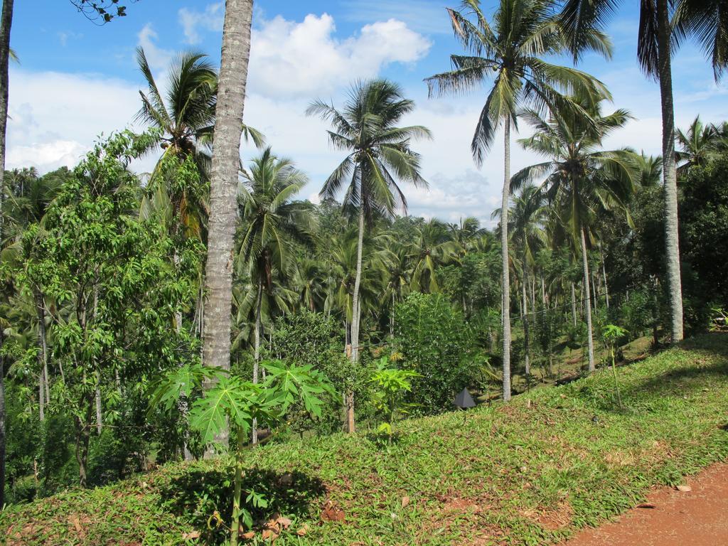 Jim'S Farm Villas Madawala Экстерьер фото